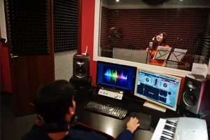 audio system